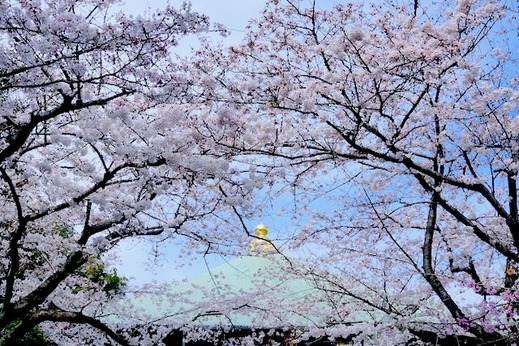 150329Ĺ����������