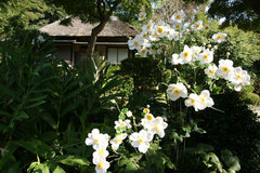 081013���һ����奦�ᥤ����