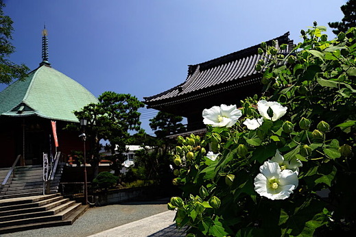 200825�ܳл��ե襦