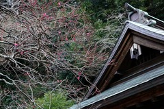 120208����ŷ������