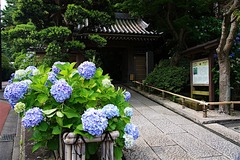 160620������������1