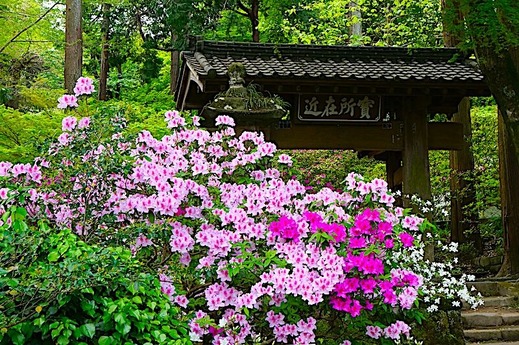 240421���һ��ĥĥ�