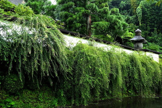 160911��Ĺ���ϥ�1