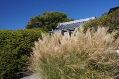 111029���ܱ�������