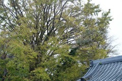 111119Ĺ���������祦