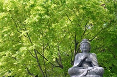 110427Ĺë������