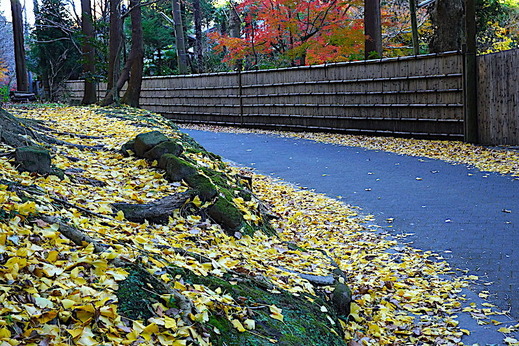 161211���һ�����1