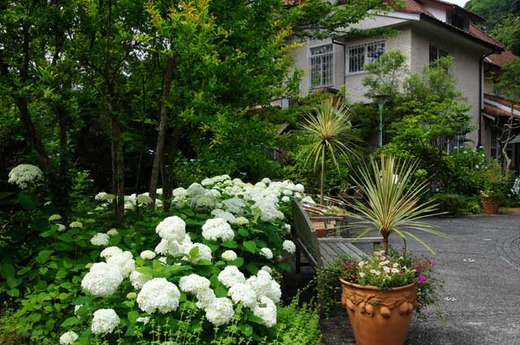 120619��̯����������2