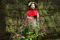 161030��Ĺ���ۥȥȥ���