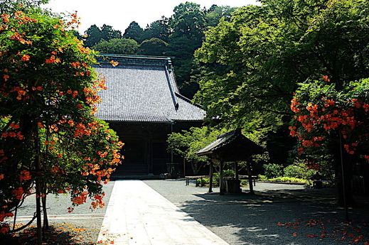 180711̯�ܻ��Υ����󥫥���