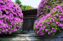 130429���ܱ��ĥĥ�3