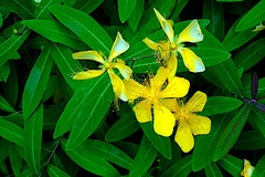 240625�繪���ӥ襦��ʥ�