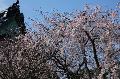 110402�ܳл������쥶����