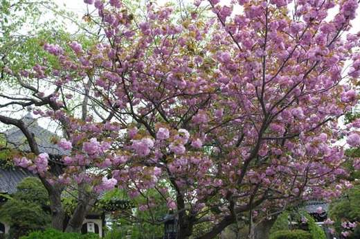 120422�ܳл��䥨������