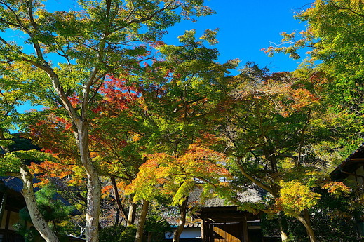 211113�߳л�����2