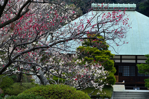 130215��̯������1