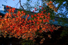 181215�߳л�����