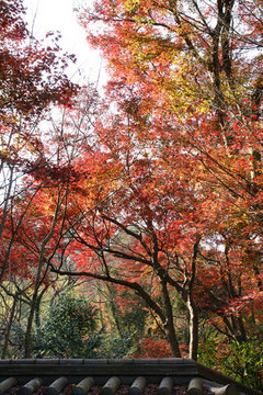 081220����������