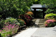 130602���һ����ĥ�