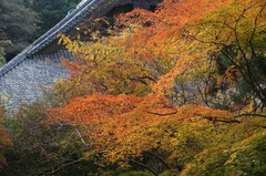 111220̯�ܻ�����2