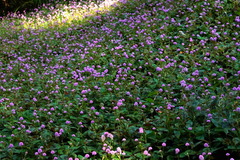 141019�߳л��ҥ�ĥ륽��