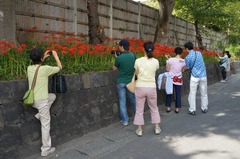 130923ȬȨ�ܥҥ���Х�1