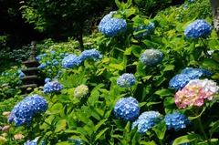 120604Ĺë����������4