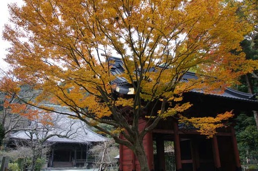 121203̯�ܻ�����1