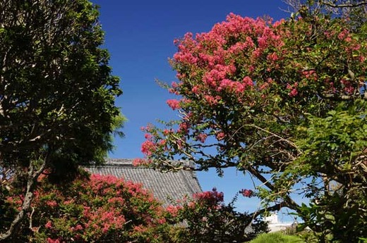 120823�ܳл����륹�٥�3