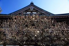 140129�߳л�����1