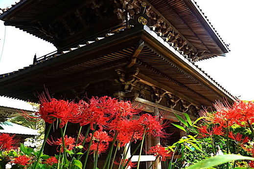 201002�ᲬȬȨ�ܥҥ���Х�2