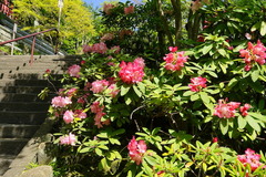 160418Ĺë�����㥯�ʥ�