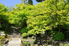 160418Ĺë������