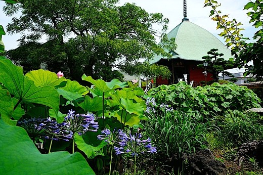 240703�ܳл������ѥ󥵥�