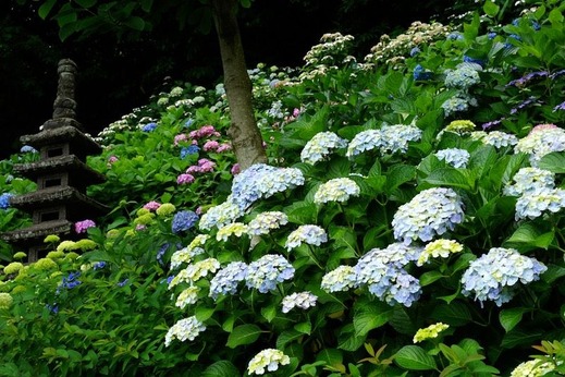 160606Ĺë����������3