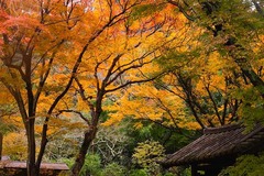 141221����������2