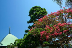 180801Ëܳлû¥µ¥ë¥¹¥Ù¥ê2