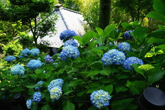 140602Ĺë����������1