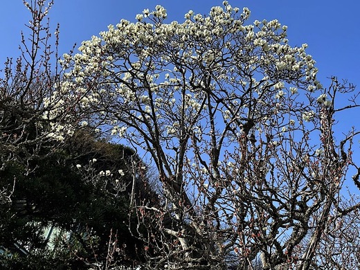 220316��Ļ��ϥ��⥯���