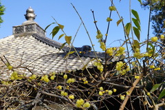 160114���һ������Х�2