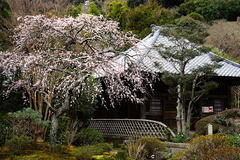 170224��¢�������쥦��2