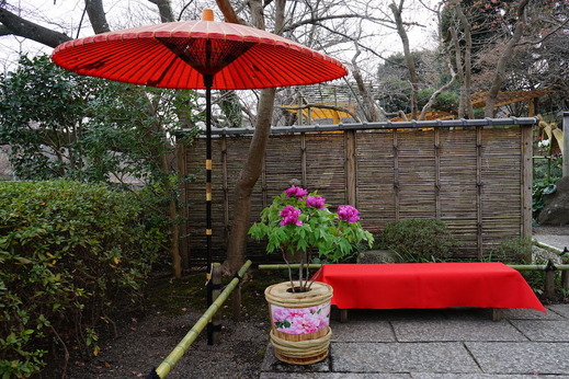 190115�ᲬȬȨ�ܥܥ���1