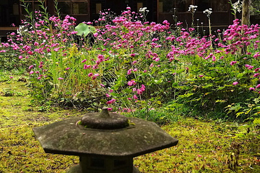 211016���һ����奦�ᥤ����