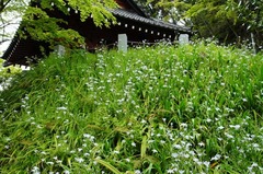 120422̯�ܻ����㥬