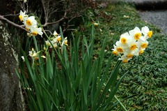 150208��������������