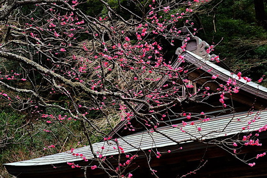 170108����ŷ���ҥ����Х�2