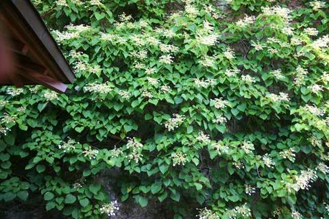 100610��Ļ����塞���