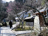 070127東慶寺ウメ