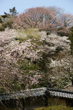 080402���һ�������