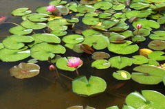 130622�ե���󥿡��������